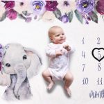 Elefant 1